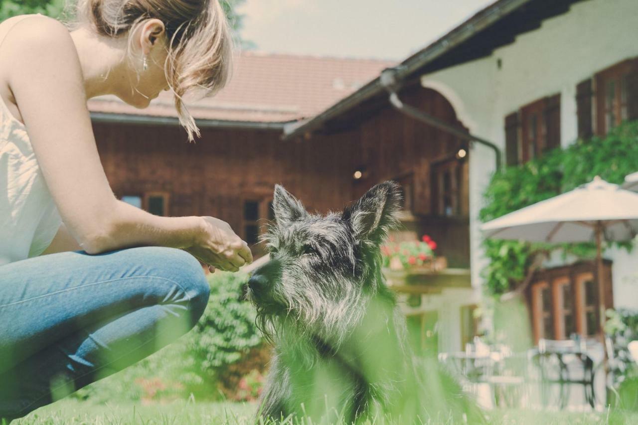 Der Lederer Hof - Boutique Apartments テガーンゼー エクステリア 写真